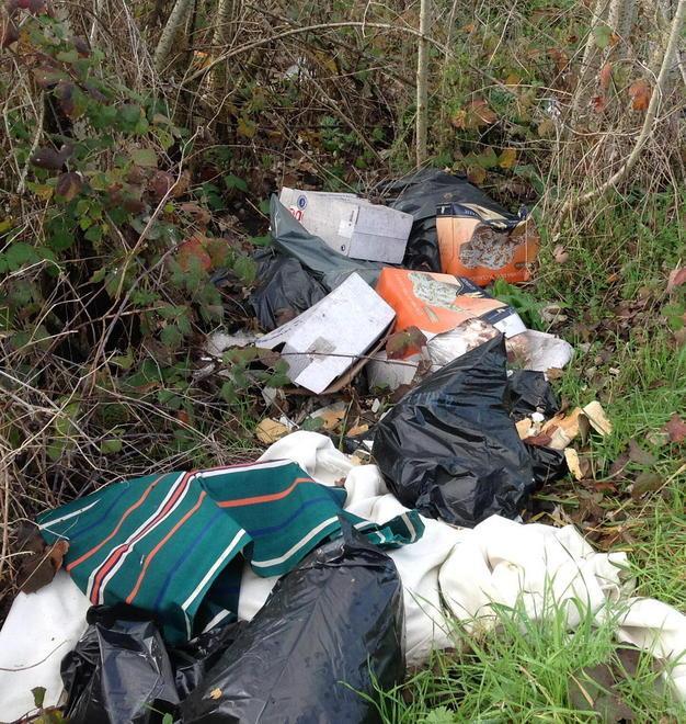In otto mesi fatte 40 multe ma i rifiuti non spariscono 