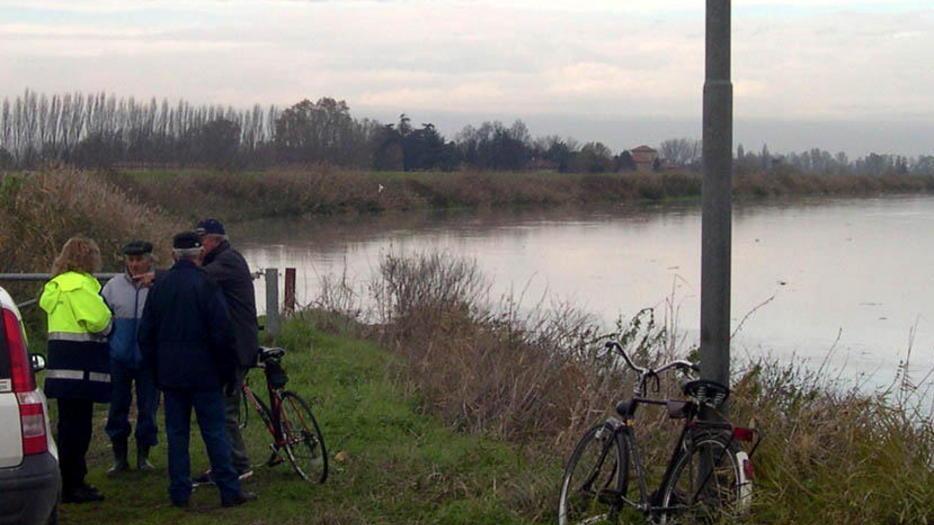 Gli alberi ci sono, gli spazi no