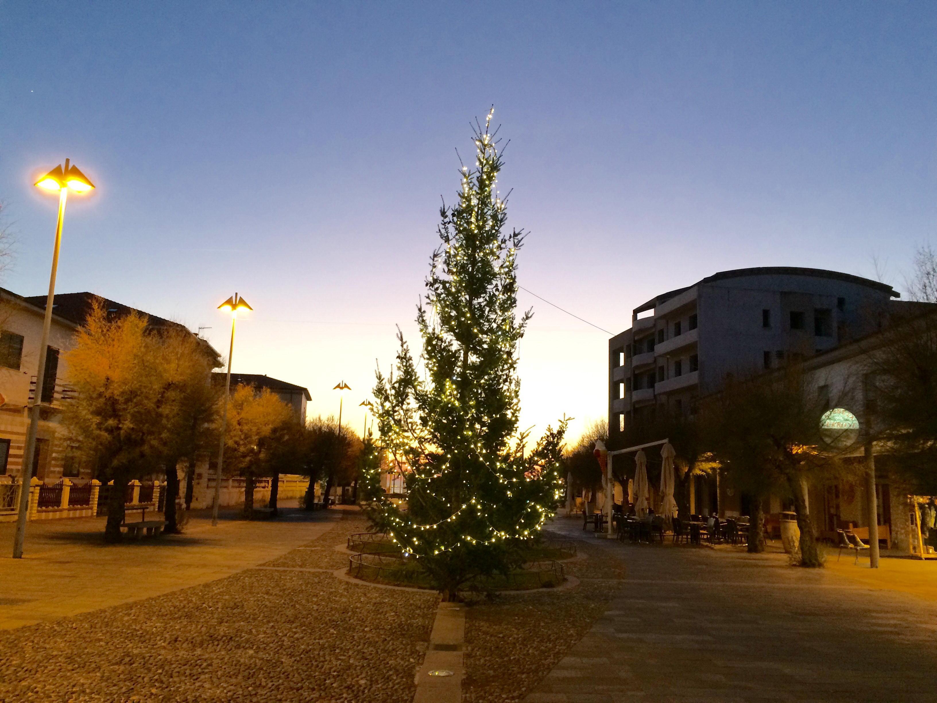 L'albero di Natale allestito nel centro di Marina di Cecina