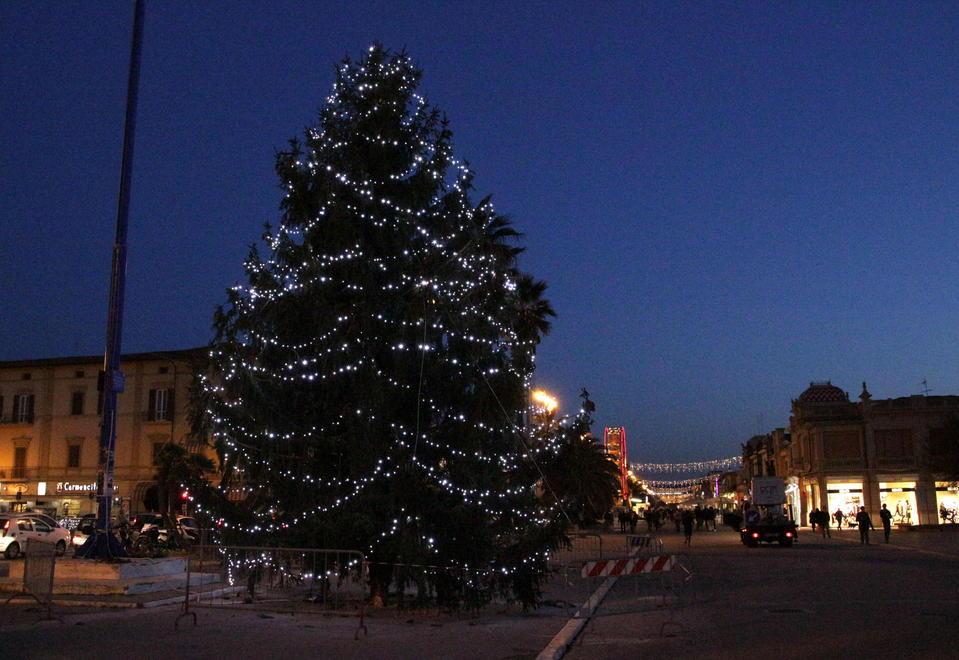 Alberi addobbati in Passeggiata grazie a commercianti e sponsor