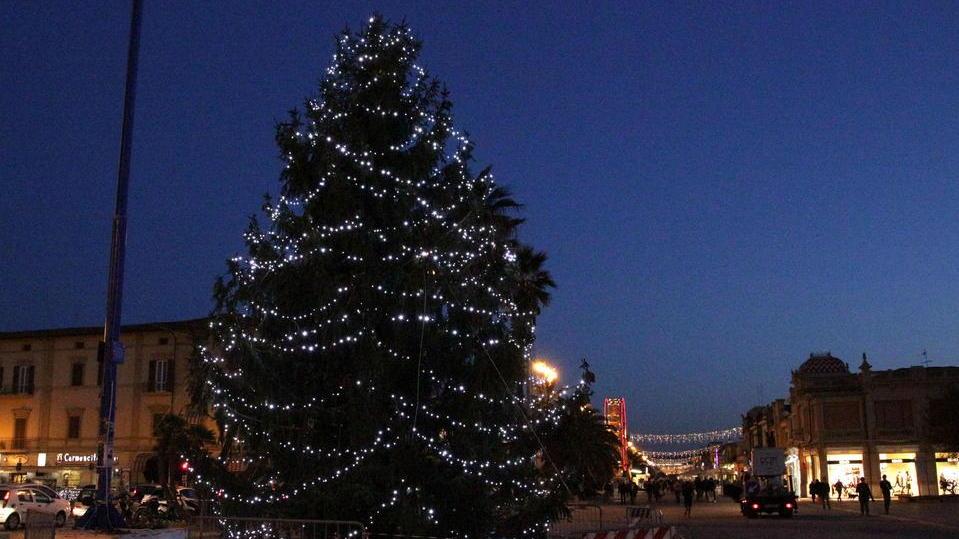 Alberi addobbati in Passeggiata grazie a commercianti e sponsor