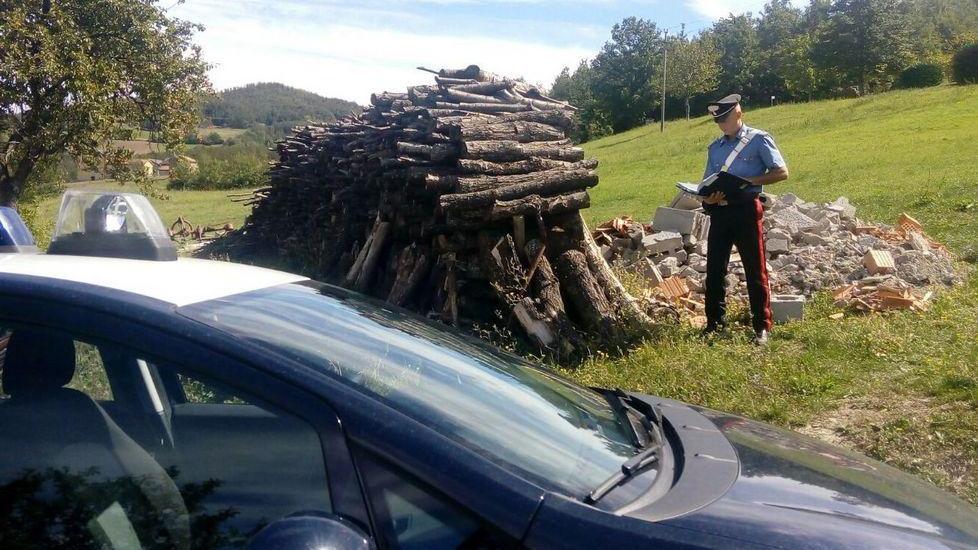 Nessun furto di legna: era uno sgombero