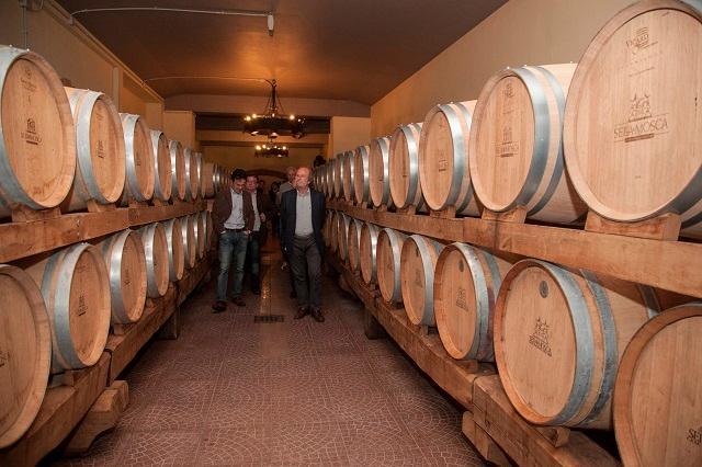 Alghero, la Sella &amp; Mosca è di Terra Moretti 