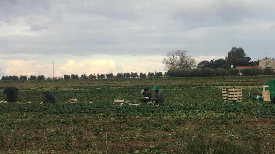 Martedì a Suvereto ecco il documentario “Bioresistenze”