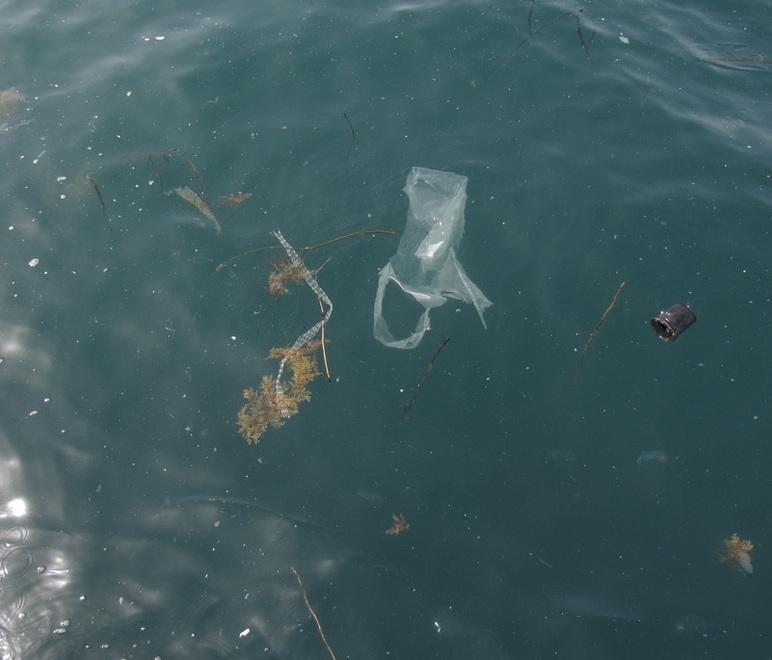 Nel mare toscano c’è un’altra isola ma fatta di plastica 