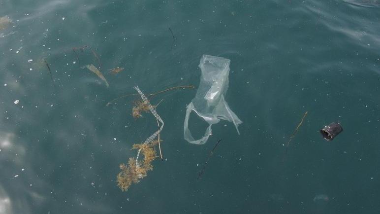 Nel mare toscano c’è un’altra isola ma fatta di plastica