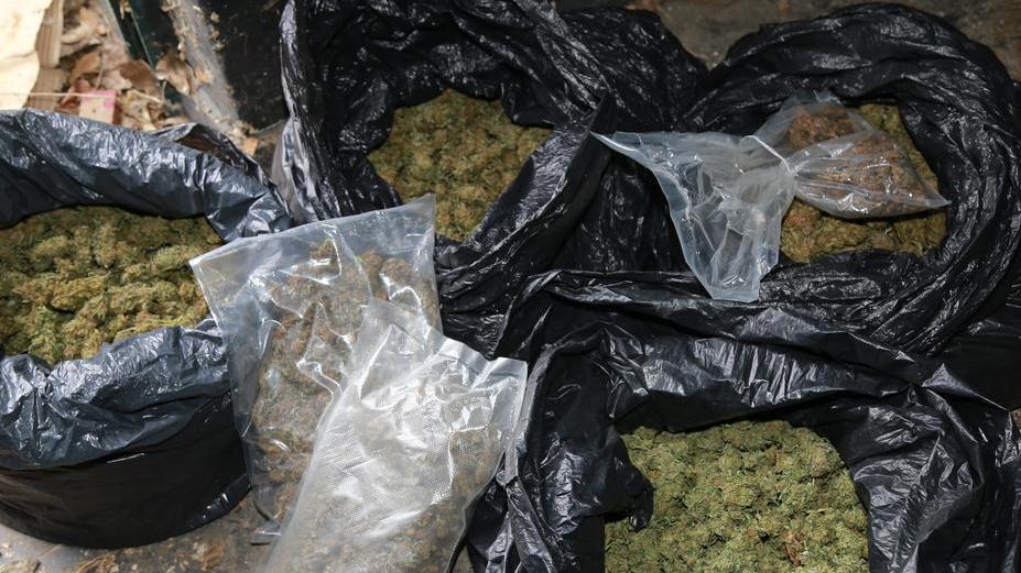 Cinque chili di marijuana indagato ex sindaco