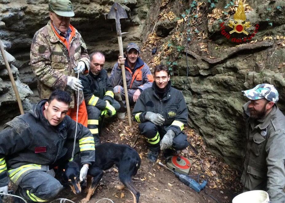 Quattro ore di angoscia poi il cane Mago è salvo 