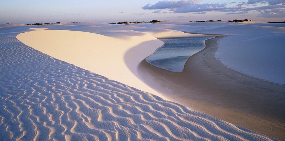 Una ricetta tutta sarda contro il deserto e la siccità 