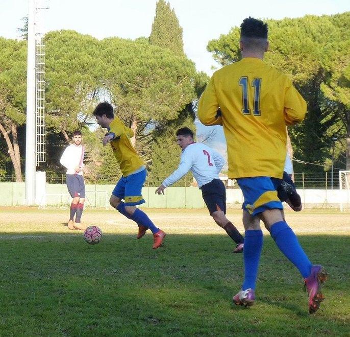 Sigillo del San Vincenzo Il primato è sotto l’albero 