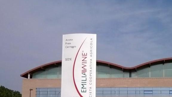 Emilia Wine 700 soci e 365mila quintali di uva