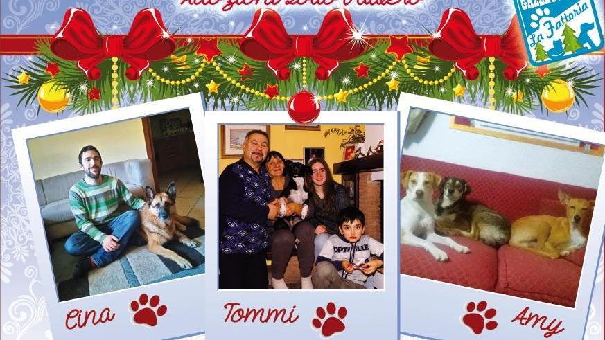 Dopo l’abbandono Tommi, Cina ed Amy passano un Natale in famiglia