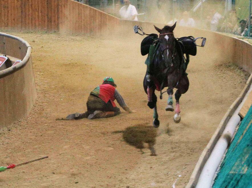Cavalli morti alla Giostra 2014 il giudice lascia: incompatibile