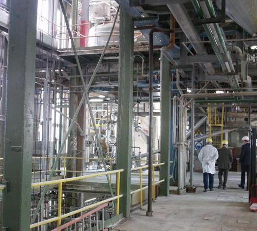 Scl, subito otto assunzioni e due milioni investiti 