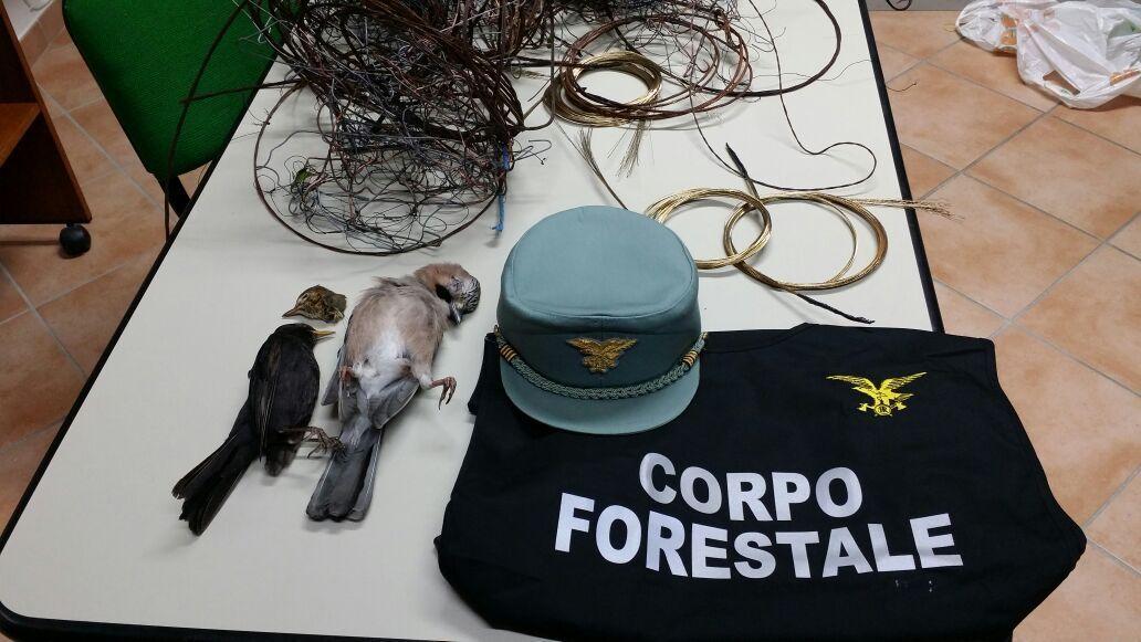Quartu, sequestrati mille uccelli: denunciati due bracconieri