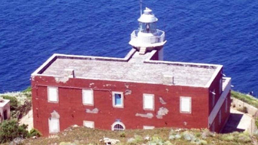Sei offerte per far rinascere le Formiche