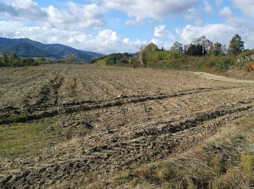 Il Goceano chiede lo stato di calamità 