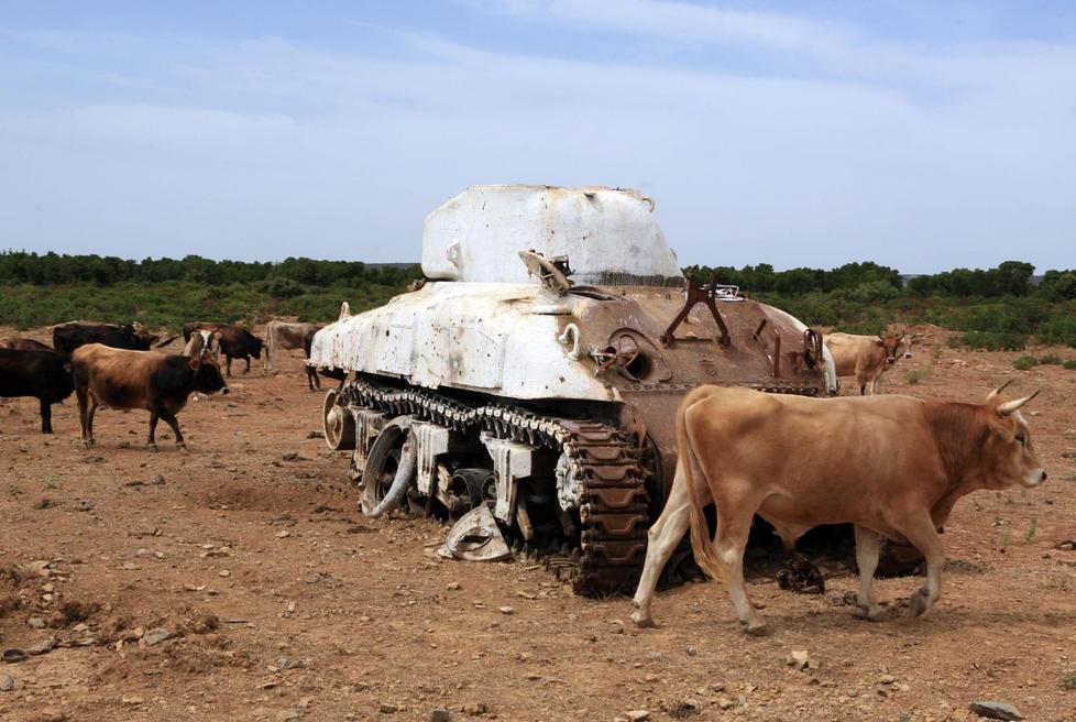 Basi militari, Mattarella e Napolitano testimoni al processo di Quirra