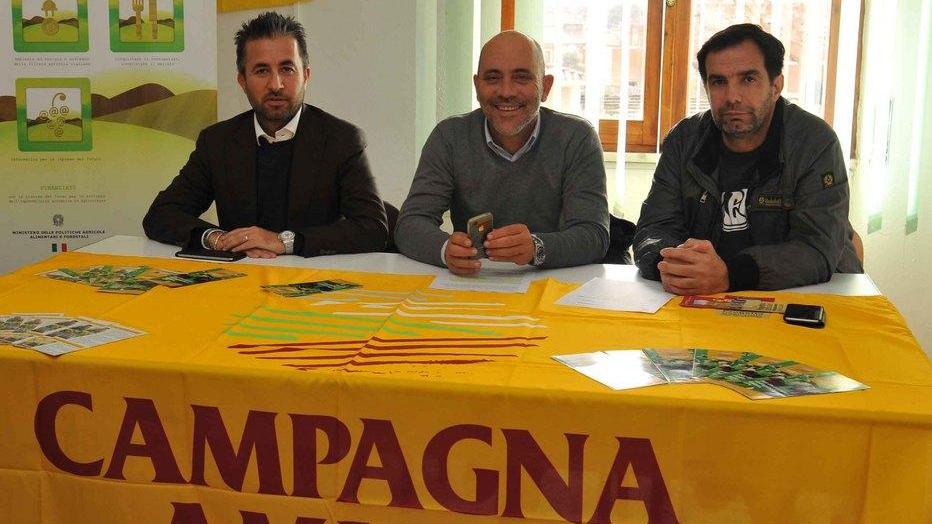 Domani Campagna amica trasloca in piazza Mercato