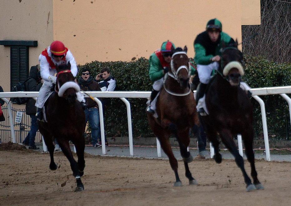 Il Tar respinge il ricorso per salvare il Palio di Buti 