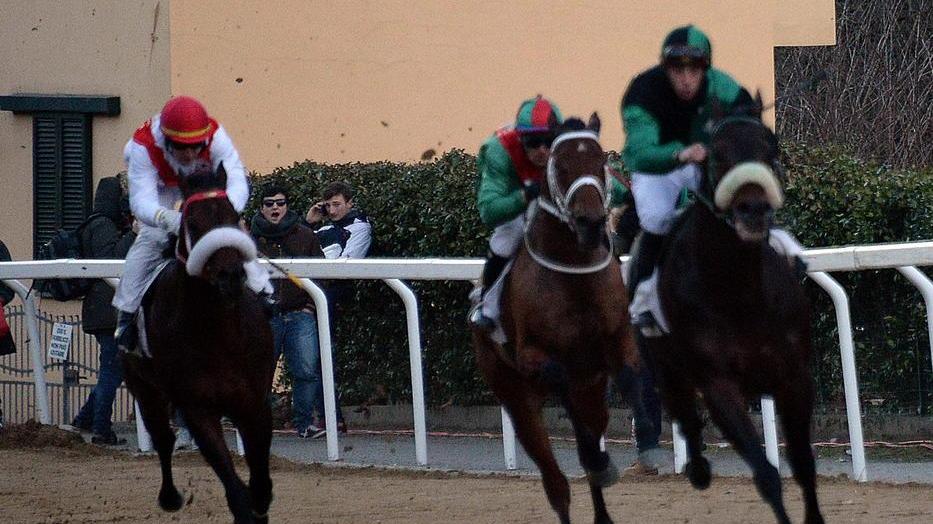 Il Tar respinge il ricorso per salvare il Palio di Buti