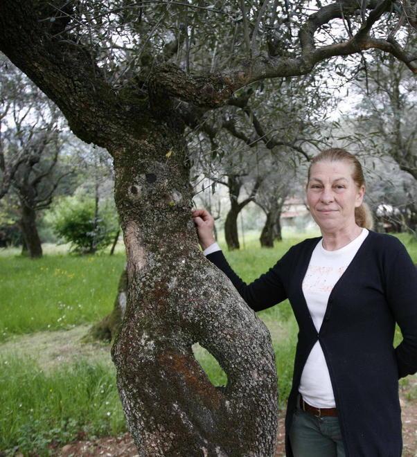 Le buone tradizioni dalla collina alla tavola