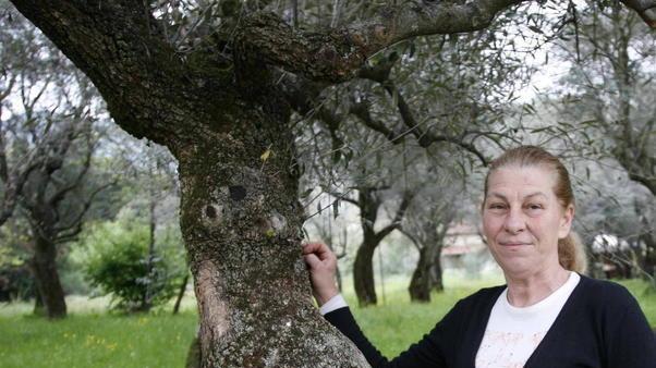 Le buone tradizioni dalla collina alla tavola