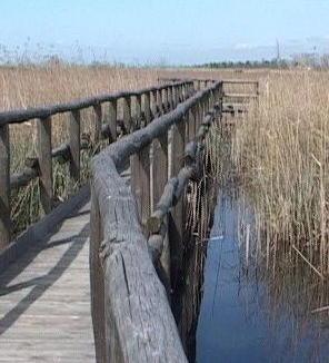 Birdwatching e foto in barca sul lago