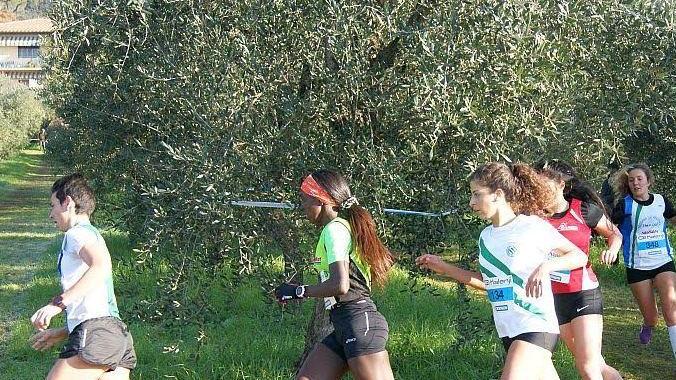 Al Gran Prix un gran Gori Stavolta Morelli è argento