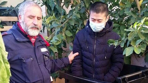 Tre cinesi irregolari dentro i bidoni dei rifiuti