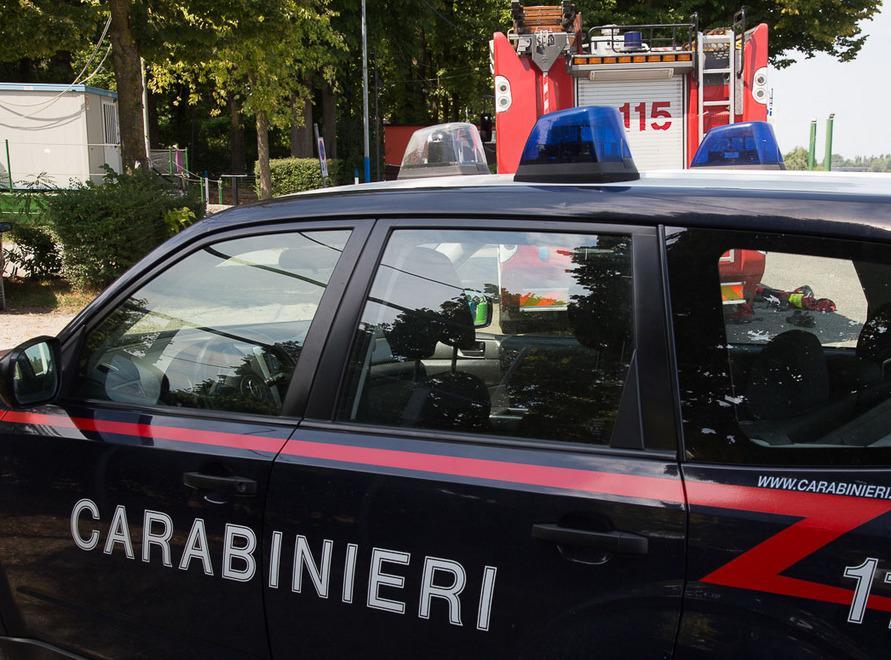 Traffico di cuccioli maltrattati: arrestato 