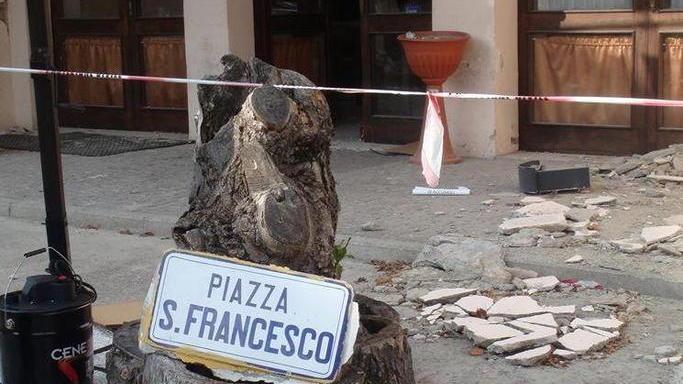 Anche la Versilia con Accumoli