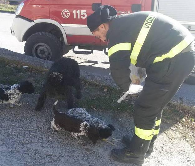 Al lavoro per i terremotati: il Natale dei vigili del fuoco 