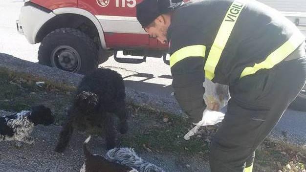Al lavoro per i terremotati: il Natale dei vigili del fuoco