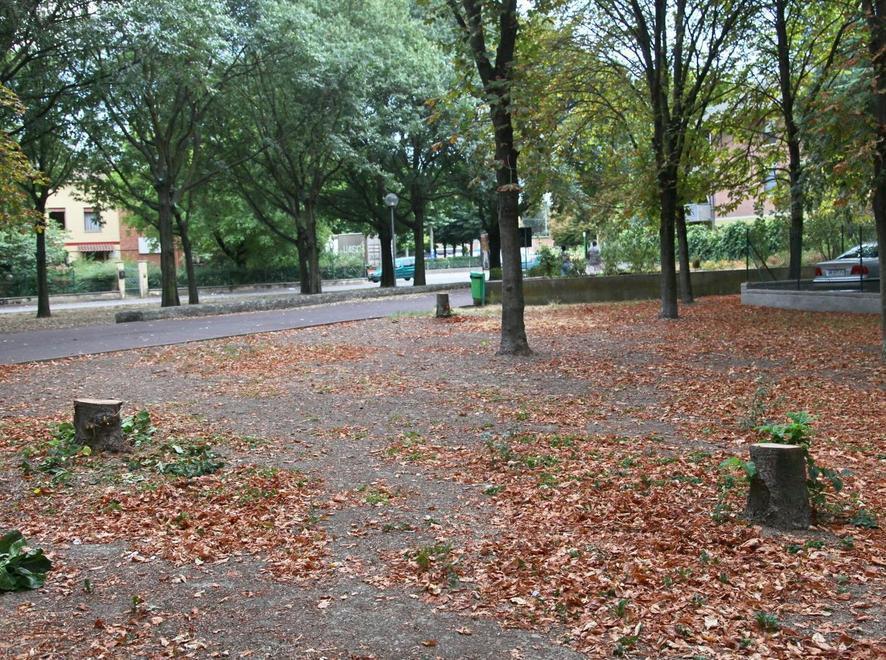 Stato del verde in città, parte una petizione 
