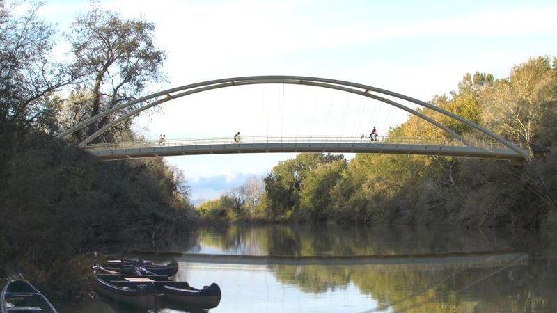 Ecco come verrà il ponte sull'Ombrone