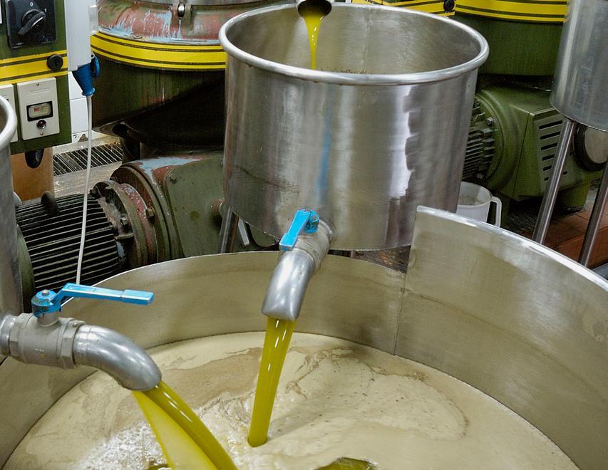 A lezione di olio con le Radici di Seggiano