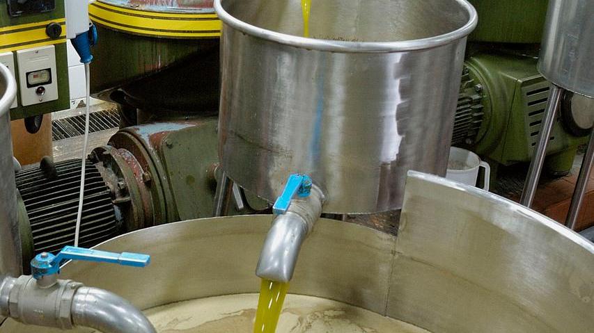A lezione di olio con le Radici di Seggiano