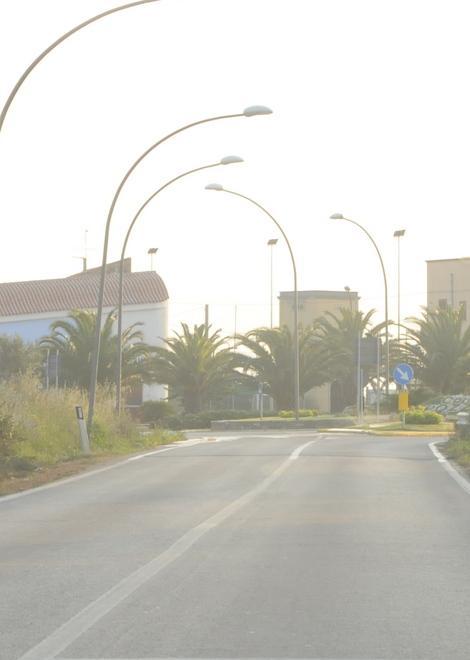 Investe un cane e lo soccorre: «Ma che paura in quella strada»