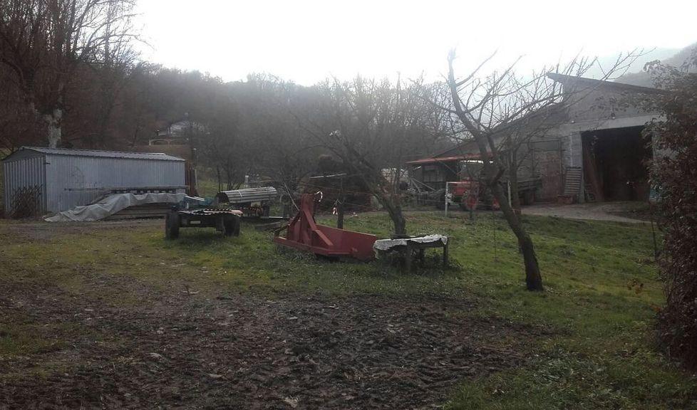 Lupi attaccano stalla e sbranano un cane 