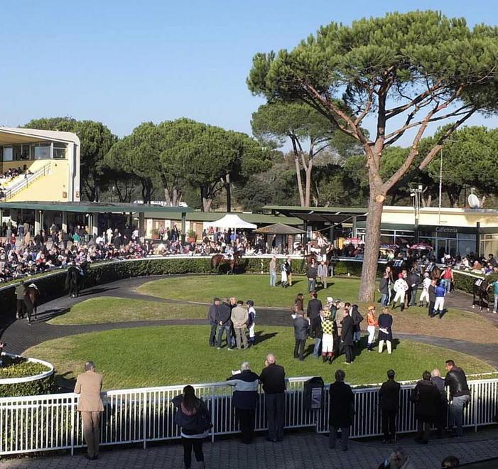 Siepi e steeple chase a San Rossore 