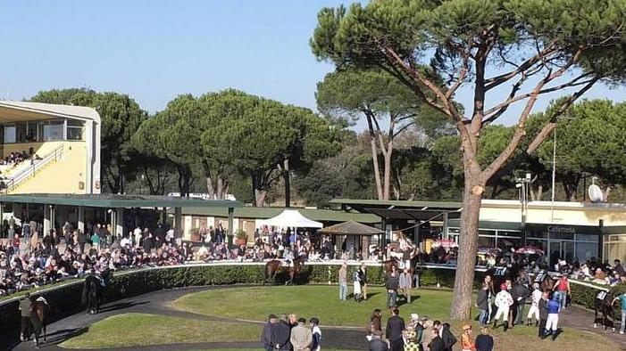 Siepi e steeple chase a San Rossore