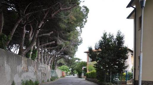 Lavori all’asfalto in via della Pinetina