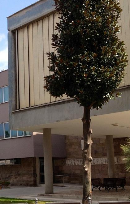 Accordo Enel, ecco 700.000 euro 