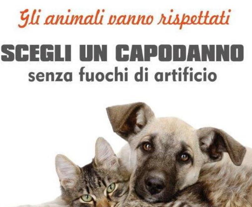 L’appello: Capodanno senza botti 
