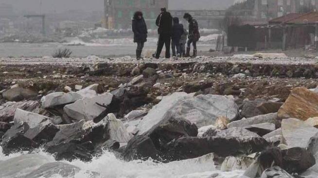 Dragaggio alla Partaccia per battere l’alga tossica