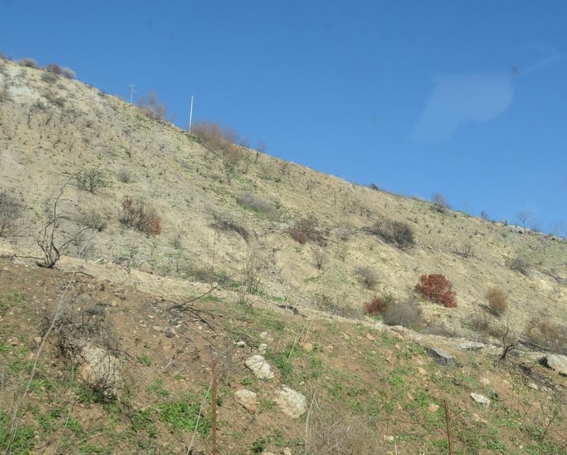 Sassari, la valle dei Ciclamini ribolle di fumi cancerogeni 