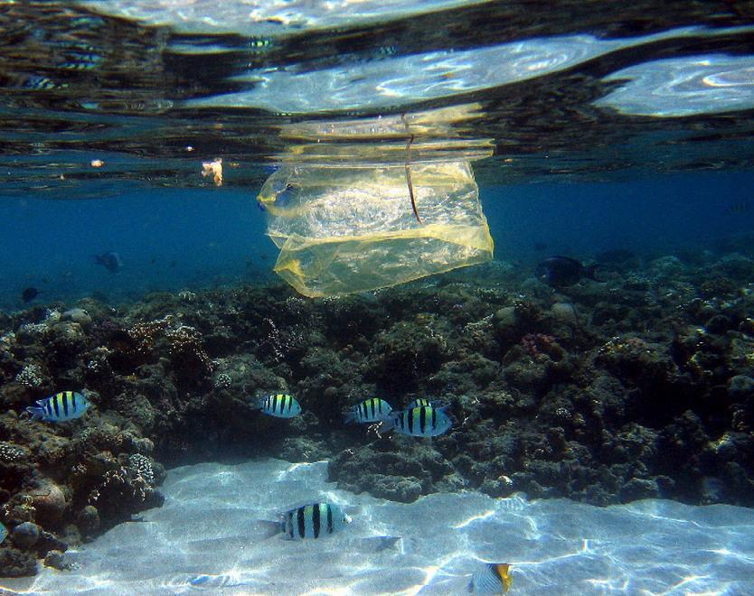 Un mare di plastica galleggia intorno all’isola 
