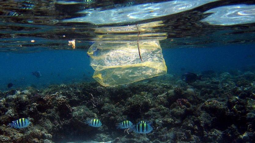 Un mare di plastica galleggia intorno all’isola