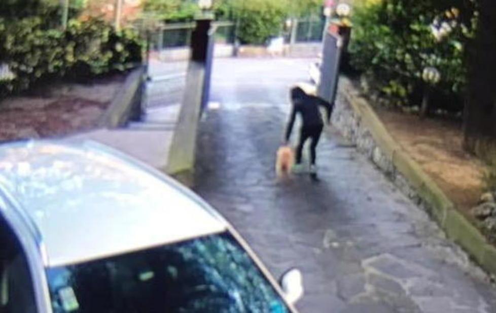 Liberata cagnolina rapita nel giardino di casa 
